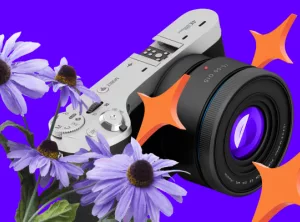 Курс Авторская фотография