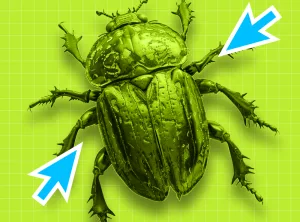 Инженер по тестированию с нуля