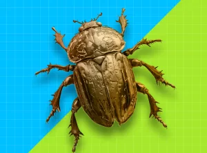 Инженер по тестированию с нуля (индивидуальный тариф)