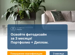 Фитодизайн