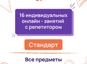 16 индивидуальных онлайн - занятий с репетитором