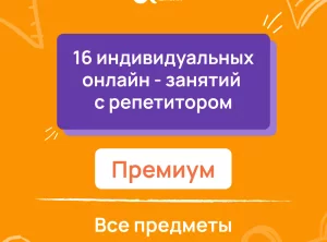 16 индивидуальных онлайн - занятий с репетитором премиум по математике