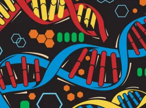 ДНК: что нужно знать