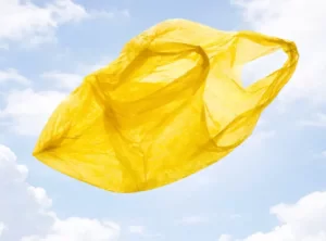 Цепная реакция: как экология меняет нашу жизнь