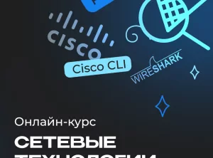 Полный курс по сетевым технологиям