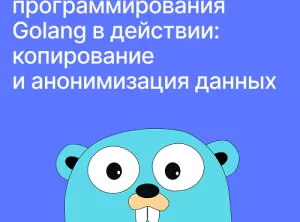 Язык программирования Golang в действии: копирование и анонимизация данных