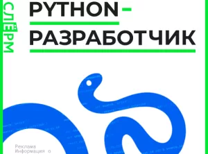 Python-разработчик