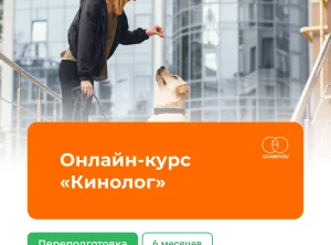 Онлайн-курс Кинолог
