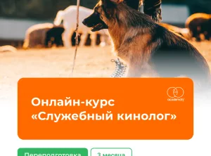 Онлайн-курс Служебный кинолог