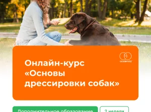 Онлайн-курс Основы дрессировки собак. 2 недели
