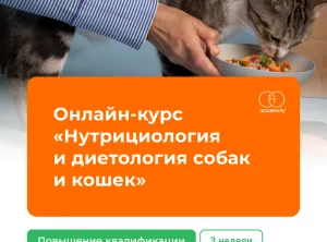 Онлайн-курс Нутрициология и диетология собак и кошек