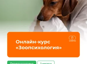Онлайн-курс Зоопсихология